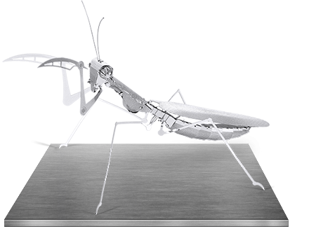 Robotica & Machete 3D - Insecta calugarita