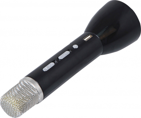 Microfon Karaoke cu Boxa integrata [1]