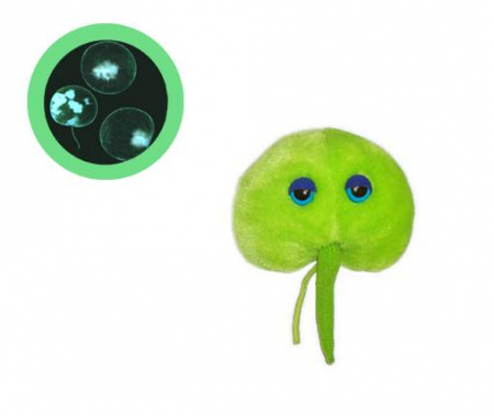 Cadouri stiintifice - Microorganisme bioluminiscente