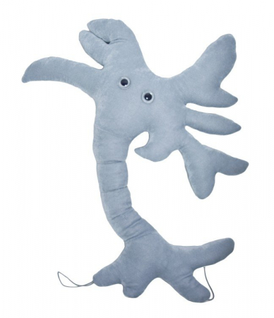 Neuronul [1]