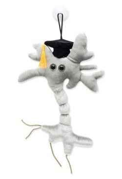 Neuronul absolvent [2]