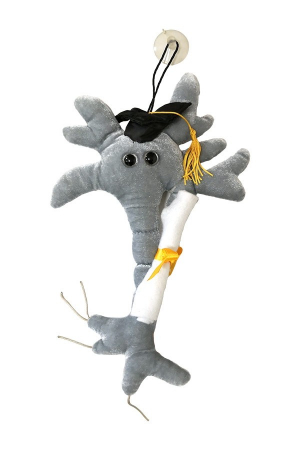Cadouri stiintifice - Neuronul absolvent cu Diploma