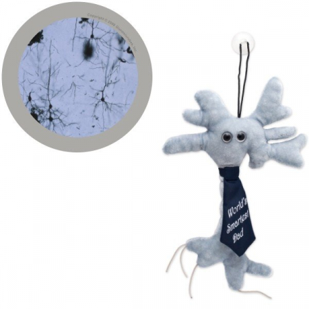 Cadouri stiintifice - Neuronul - Smartest Dad