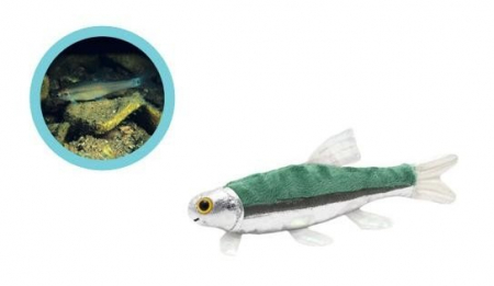 Cadouri stiintifice - Pestele Minnow