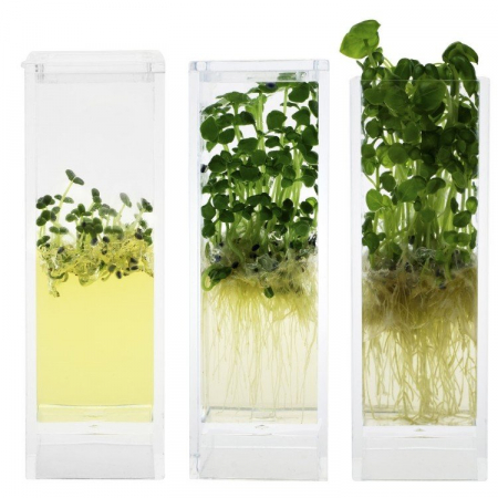Plantarium Garden Lab [6]