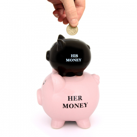 All Products - Pusculita His Money/Her Money