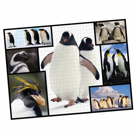 Puzzle WWF 1000 piese - Pinguini [1]