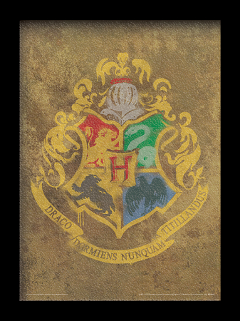 Postere & Tablouri - Tablou Harry Potter - Hogwarts