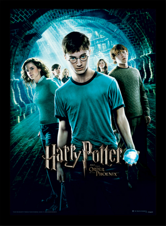 Postere & Tablouri - Tablou Harry Potter - Ordinul Phoenix