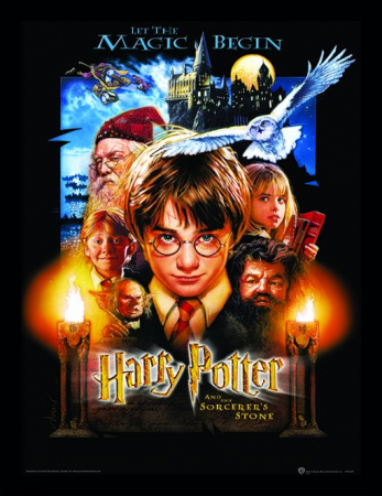 Decoratiuni & Accesorii living - Tablou Harry Potter - Piatra Filozofala