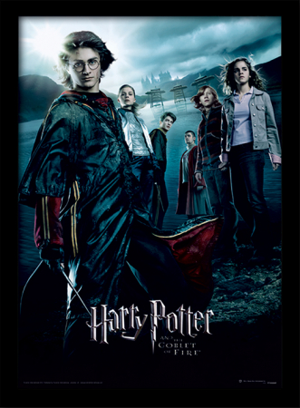 Decoratiuni & Accesorii living - Tablou Harry Potter - Pocalul de Foc