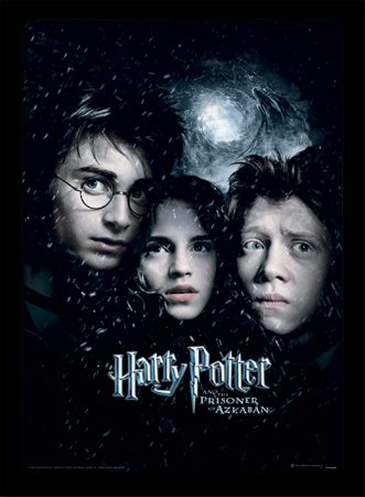 Idei de cadouri pentru Copii - Tablou Harry Potter - Prizonierul din Azkaban