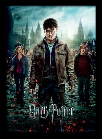 Decoratiuni & Accesorii living - Tablou Harry Potter - Talismanele Mortii 2