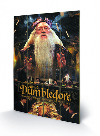 Decoratiuni & Accesorii living - Tablou lemn Harry Potter - Dumbledore