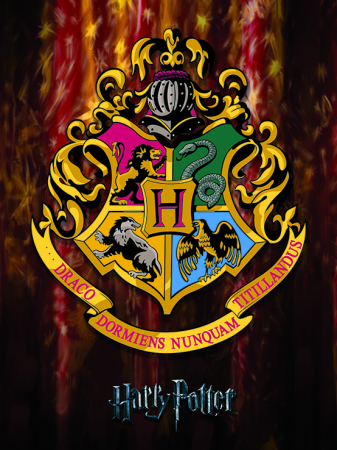 Harry Potter - Tablou panza Harry Potter - Hogwarts