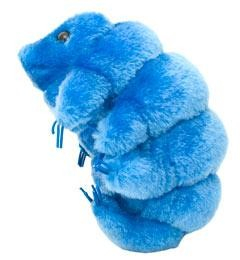 Tardigrade [1]