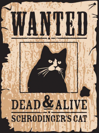 All Products - Tricou Pisica lui Schrodinger