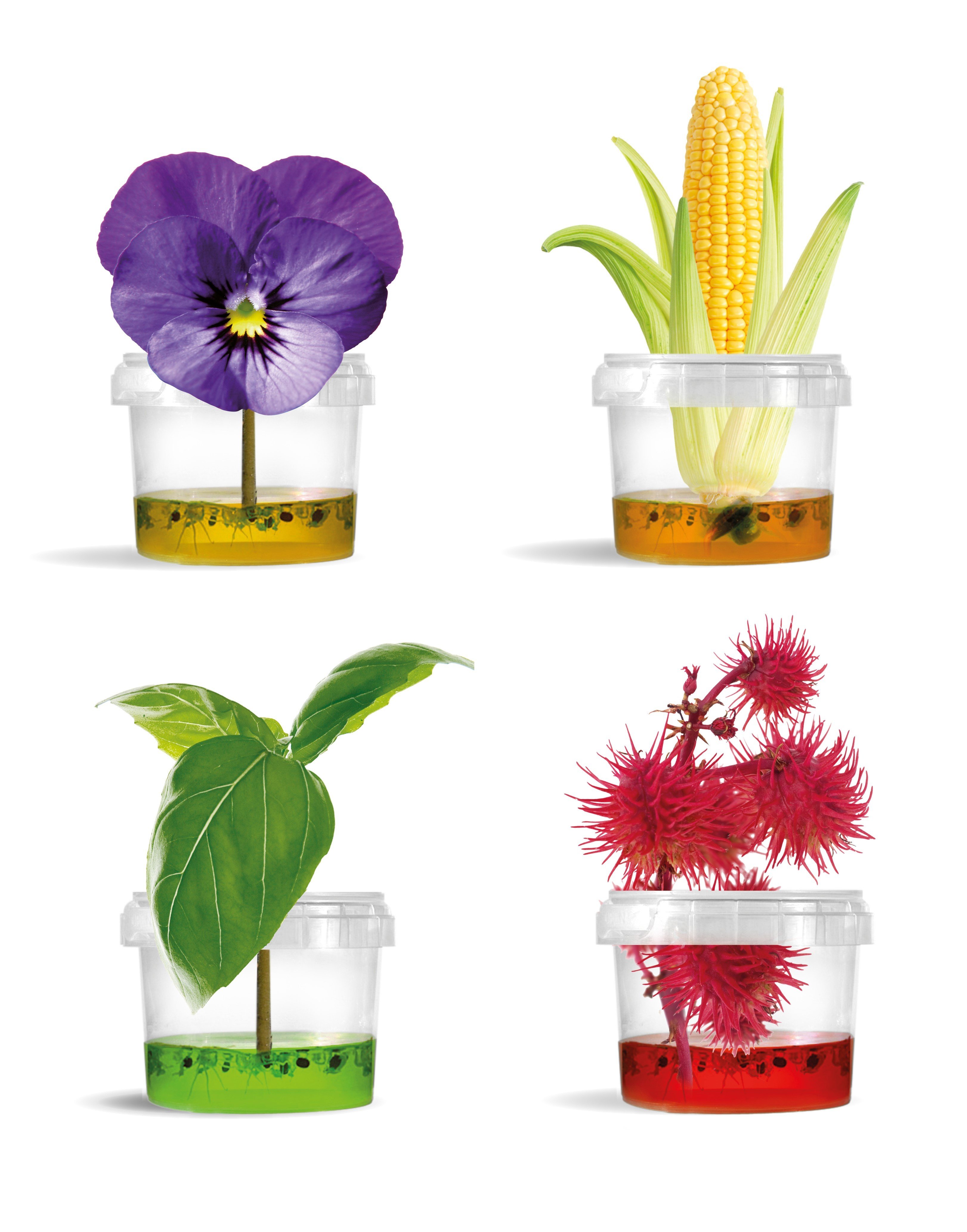 Plantarium Gardener [1]