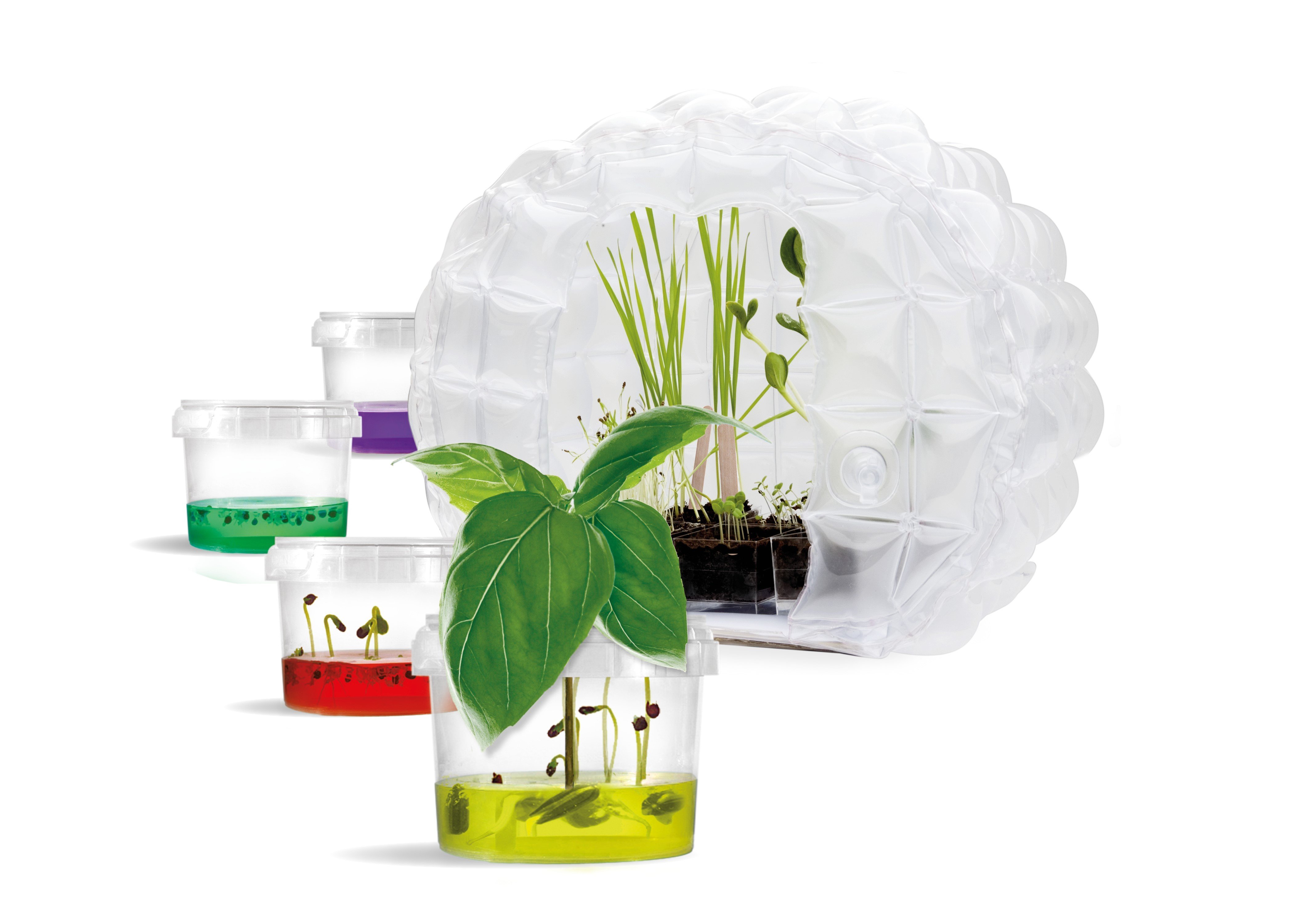 Plantarium Moon Greenhouse [2]