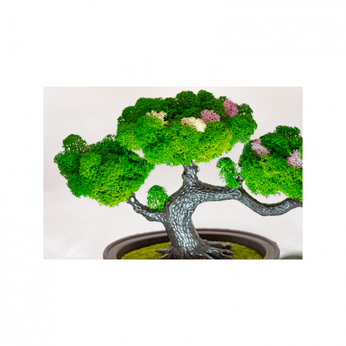 Bonsai cu licheni stabilizati, ideal pentru decor. [2]