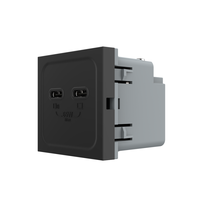 Modul priza dubla 2 x USB tip C, 2M, 65W, Livolo [4]