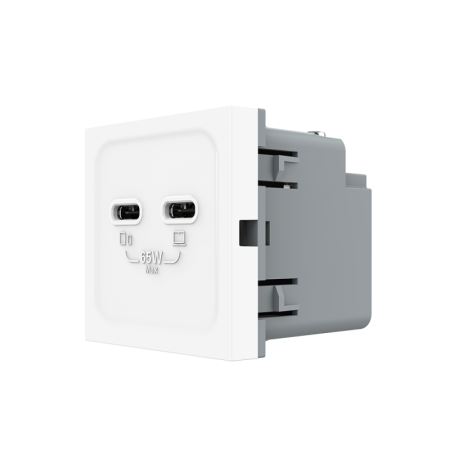 Modul priza dubla 2 x USB tip C, 2M, 65W, Livolo [1]