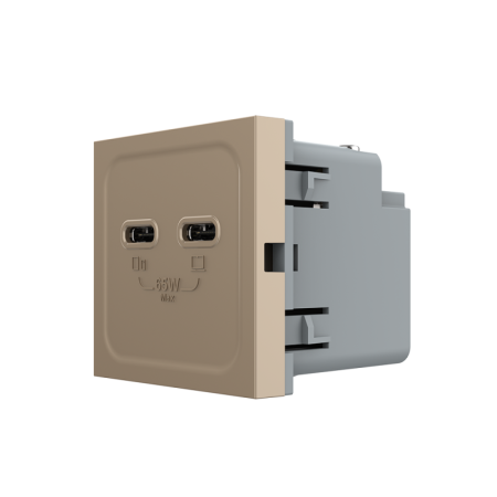 Modul priza dubla 2 x USB tip C, 2M, 65W, Livolo [2]