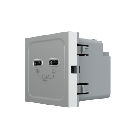 Livolo - Accesorii - Modul priza dubla 2 x USB tip C, 2M, 65W, Livolo