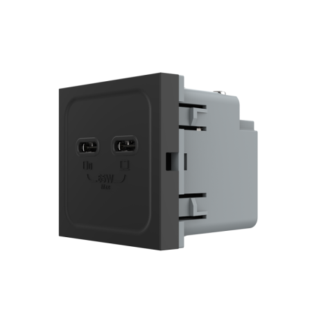 Modul priza dubla 2 x USB tip C, 2M, 65W, Livolo [3]