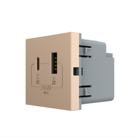 Modul Priza USB A + USB C LIVOLO – Serie Noua [1]