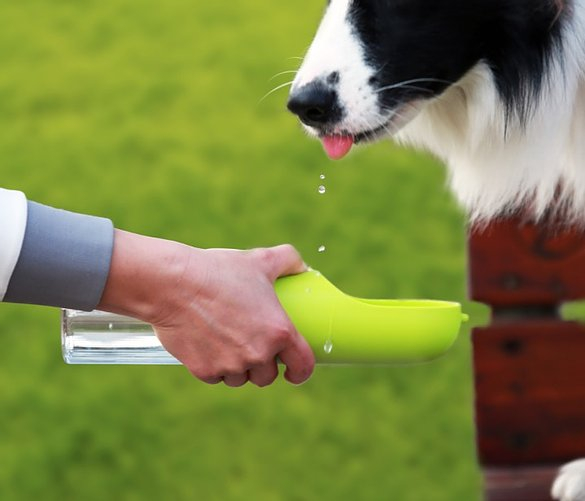 BIDON APA EVERSWEET PETKIT [5]