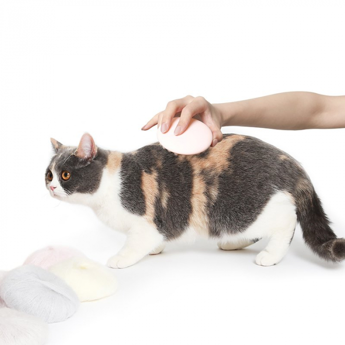 PERIE SILICON PURE PETKIT [4]