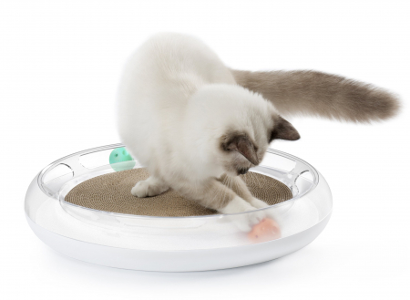Petshop - JUCARIE FUN 4 IN 1 CAT SCRATCHER PETKIT