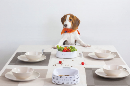 BOL DE MANCARE CU CANTAR FRESH PET BOWL PETKIT [3]