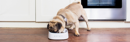 BOL DE MANCARE CU CANTAR FRESH PET BOWL PETKIT [1]