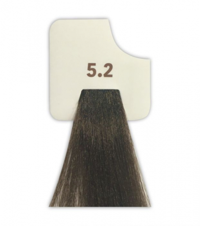 Vopsea de păr permanentă 100 ml saten bej deschis 5.2