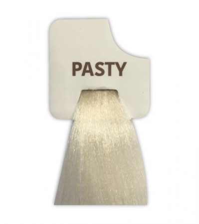 Vopsele de par cu amoniac - Vopsea de păr permanentă 100 ml PASTY