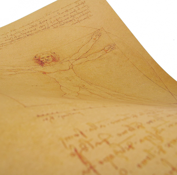 Poster roluit din hartie, GMO, Leonardo Da Vinci [4]
