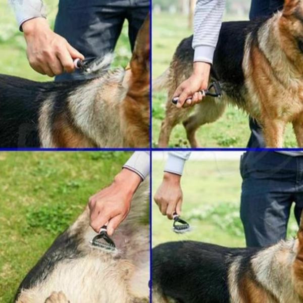 Perie cu 2 fete pentru caini si pisici, CRM, ingrijire blana, albastru/gri [2]