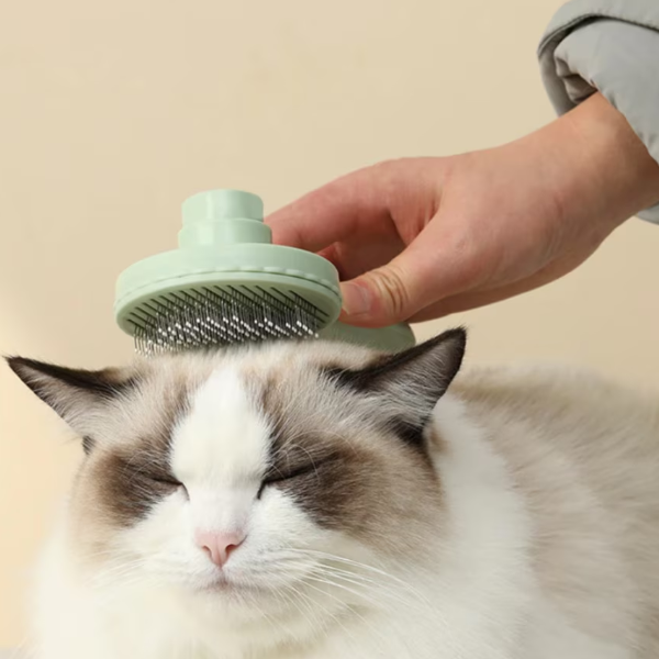 Perie cu autocuratare pentru blana de animale, CRM, pentru masaj si curatare, rotunda, verde [4]