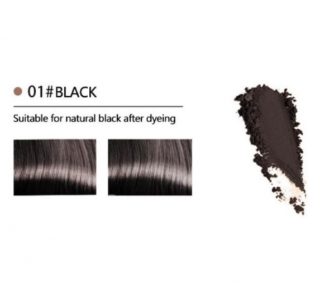 Creion cu fibre de par pentru acoperire goluri, EVNC, Stick Powder Water Proo, brunet [2]
