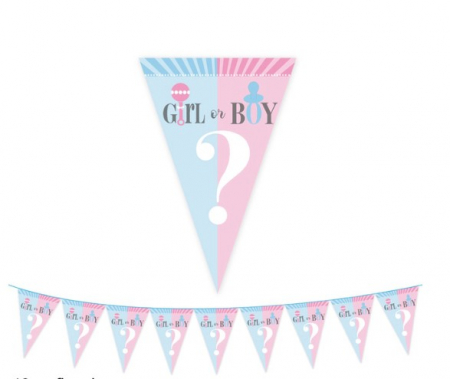 Decoratiune pentru petrecere, EVNC, Gender Reveal Party [5]