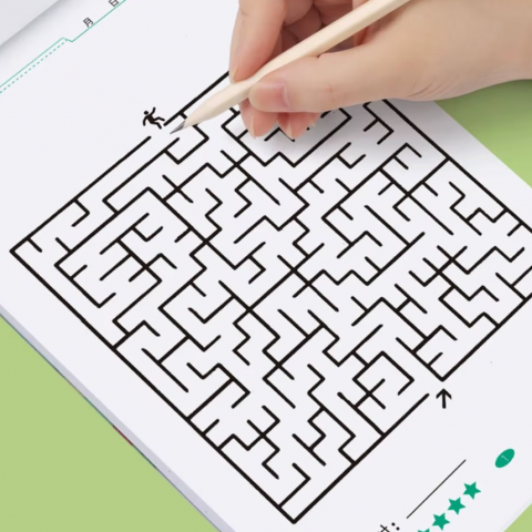 Labirint pentru concentrare copii, pentru dezvoltarea inteligentei si atentiei, nivel 1, 64 pg., 21cm x 14cm [2]