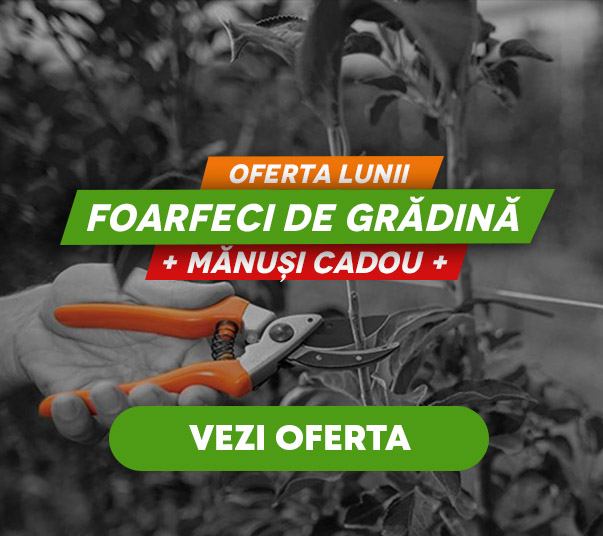 Oferta lunii pentru foarfeci - mobil