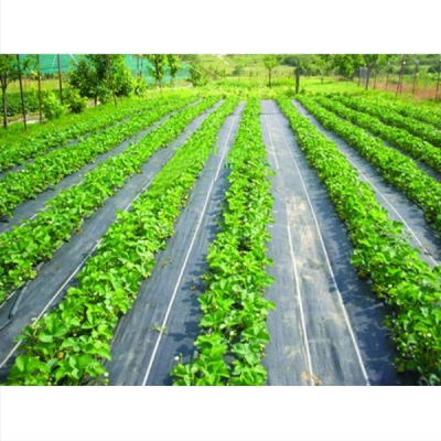 Plasa agrotextil anti-buruieni 1 x 20 m - NEGRU [1]