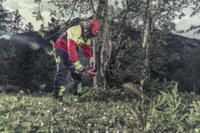 Fierastrau Multitool 42 V Li-ion, lama 35 cm solo by AL-KO CS 4235 [2]