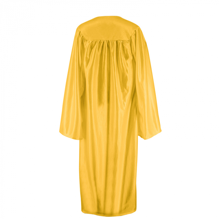Shiny Gold Bachelors Gown [4]