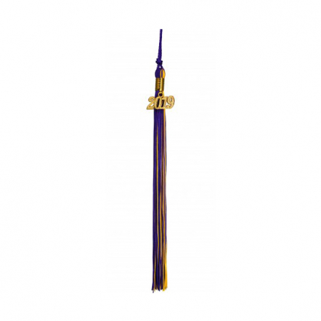 Tassel - Blue and Yellow Multicolor Tassel