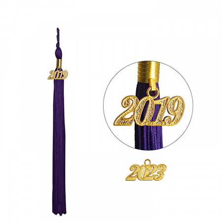 Matte Purple Bachelors Gown, Cap, & Tassel [2]