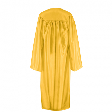 Shiny Gold Bachelors Gown [3]